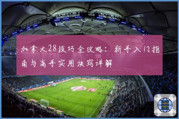 加拿大28技巧全攻略：新手入门指南与高手实用诀窍详解