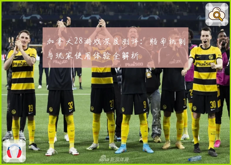 加拿大28游戏深度测评:赔率机制与玩家使用体验全解析