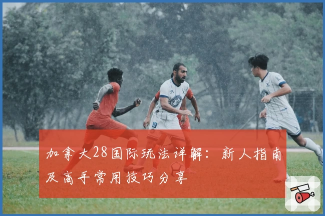 加拿大28国际玩法详解：新人指南及高手常用技巧分享