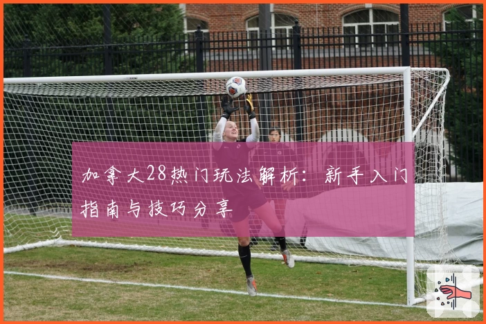 加拿大28热门玩法解析：新手入门指南与技巧分享