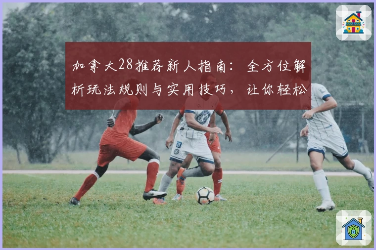 加拿大28推荐新人指南：全方位解析玩法规则与实用技巧，让你轻松上手