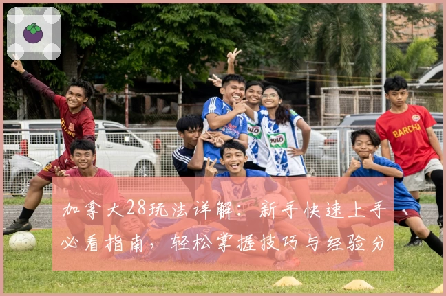 加拿大28玩法详解：新手快速上手必看指南，轻松掌握技巧与经验分享