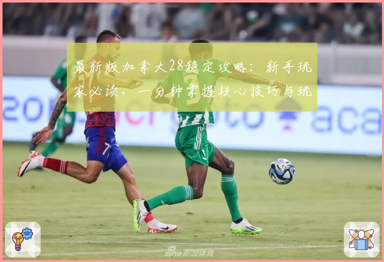 最新版加拿大28稳定攻略:新手玩家必读,一分钟掌握核心技巧与玩法