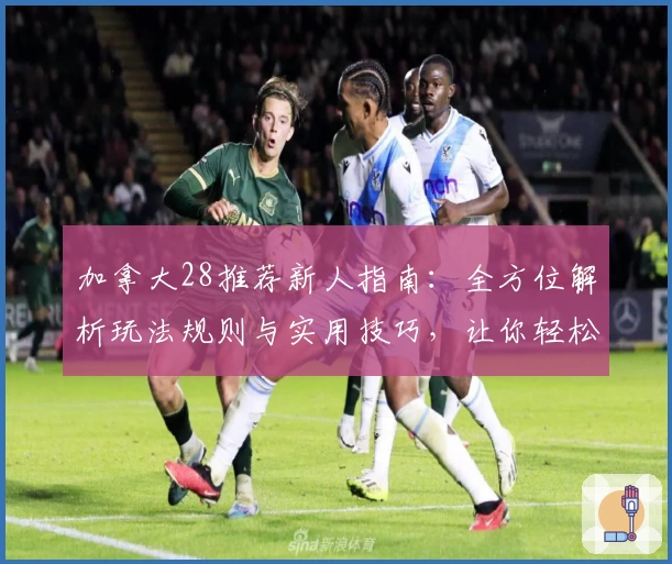 加拿大28推荐新人指南：全方位解析玩法规则与实用技巧，让你轻松上手