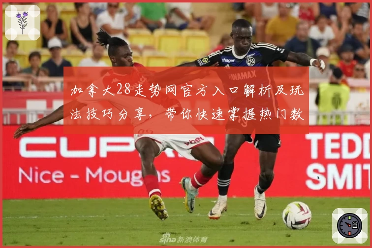 加拿大28走势网官方入口解析及玩法技巧分享,带你快速掌握热门数据分析技巧