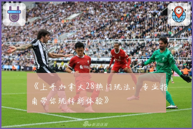 《上手加拿大28热门玩法，专业指南带你玩转新体验》