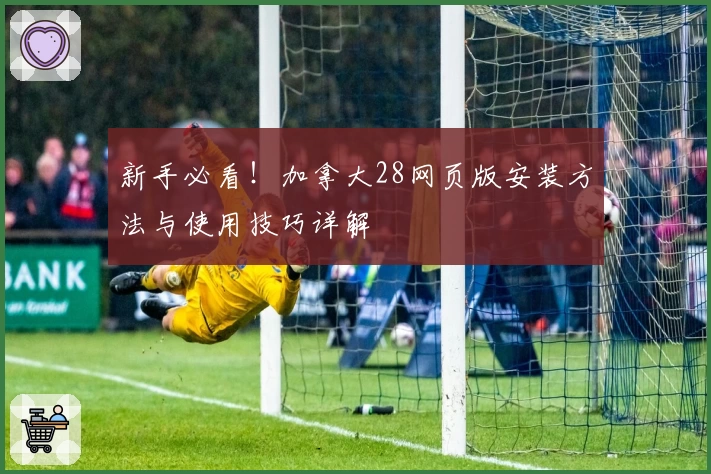 新手必看！加拿大28网页版安装方法与使用技巧详解