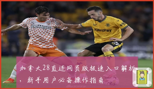 加拿大28直连网页版极速入口解析，新手用户必备操作指南