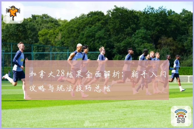 加拿大28结果全面解析:新手入门攻略与玩法技巧总结