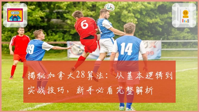 揭秘加拿大28算法：从基本逻辑到实战技巧，新手必看完整解析