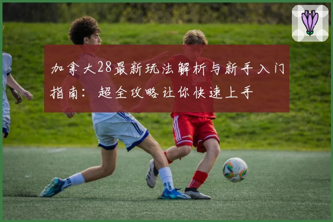 加拿大28最新玩法解析与新手入门指南：超全攻略让你快速上手