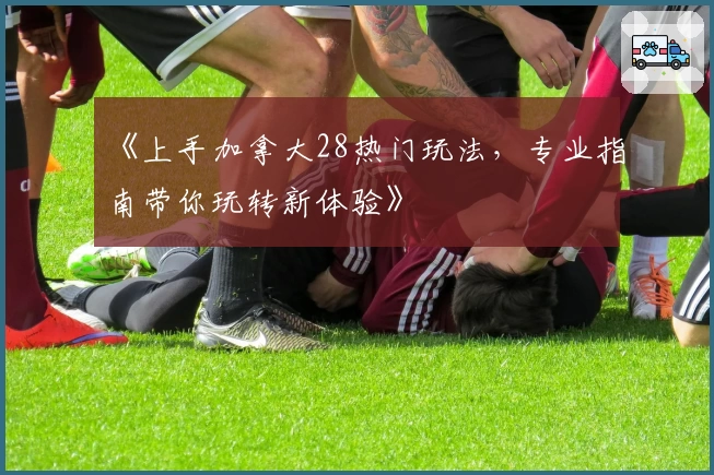 《上手加拿大28热门玩法，专业指南带你玩转新体验》