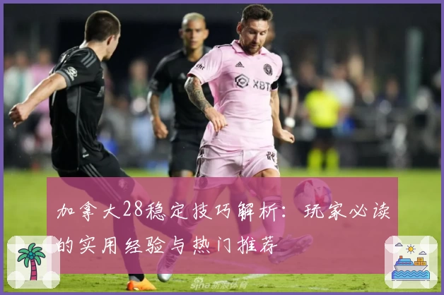 加拿大28稳定技巧解析：玩家必读的实用经验与热门推荐