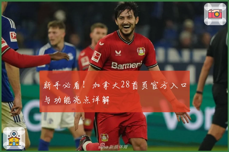 新手必看！加拿大28首页官方入口与功能亮点详解