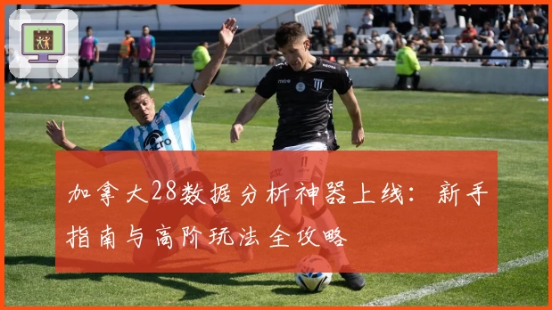 加拿大28数据分析神器上线：新手指南与高阶玩法全攻略