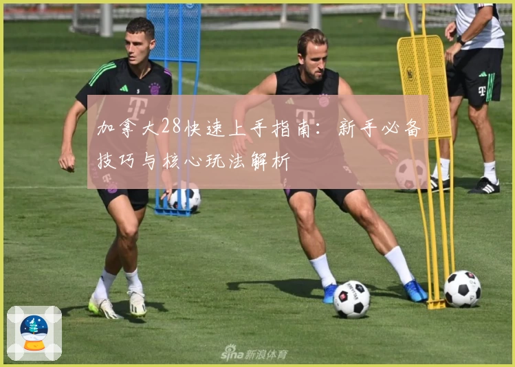 加拿大28快速上手指南：新手必备技巧与核心玩法解析