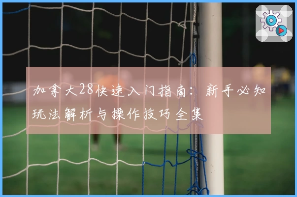 加拿大28快速入门指南：新手必知玩法解析与操作技巧全集