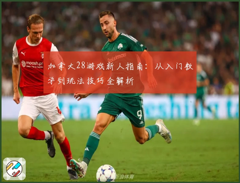 加拿大28游戏新人指南：从入门教学到玩法技巧全解析