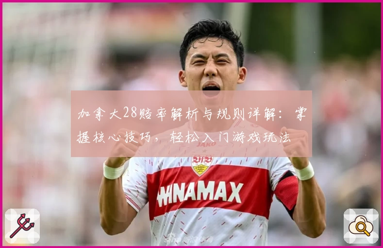 加拿大28赔率解析与规则详解：掌握核心技巧，轻松入门游戏玩法