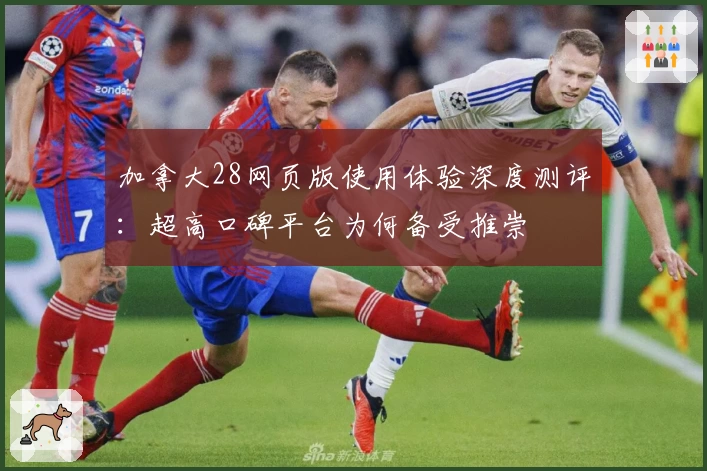 加拿大28网页版使用体验深度测评：超高口碑平台为何备受推崇