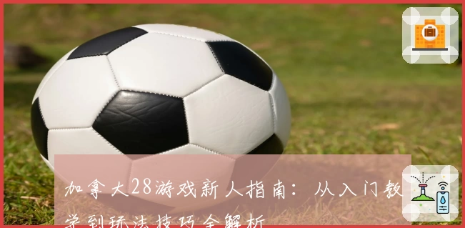 加拿大28游戏新人指南：从入门教学到玩法技巧全解析