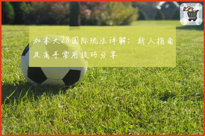 加拿大28国际玩法详解：新人指南及高手常用技巧分享