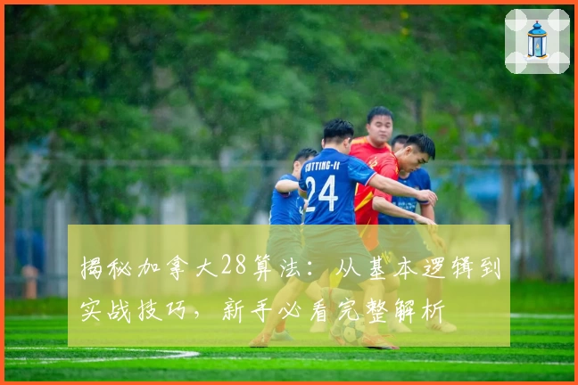 揭秘加拿大28算法：从基本逻辑到实战技巧，新手必看完整解析