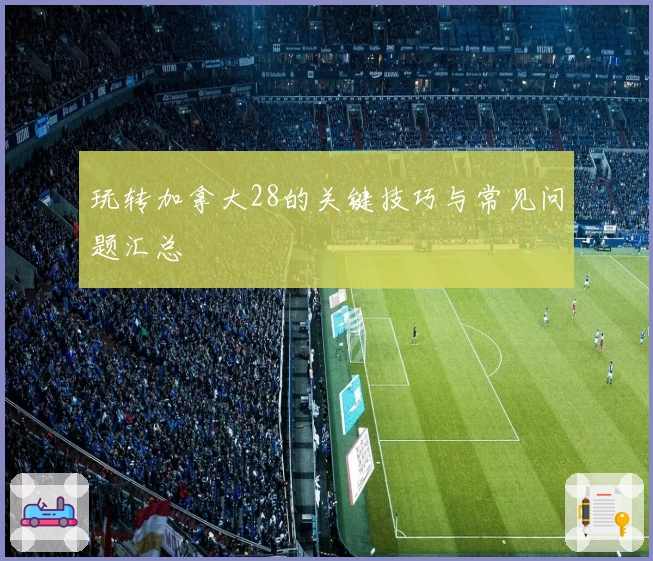 玩转加拿大28的关键技巧与常见问题汇总