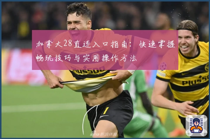 加拿大28直连入口指南：快速掌握畅玩技巧与实用操作方法