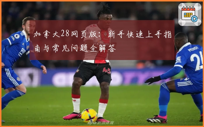 加拿大28网页版：新手快速上手指南与常见问题全解答