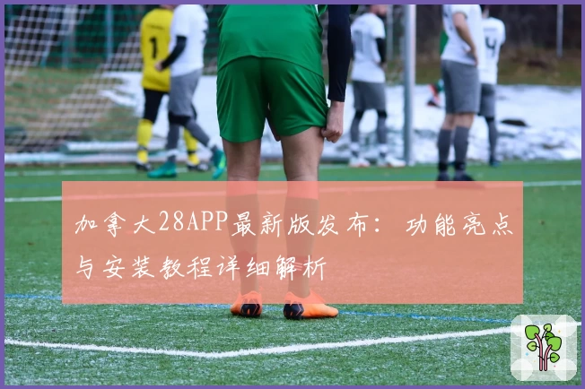 加拿大28APP最新版发布：功能亮点与安装教程详细解析