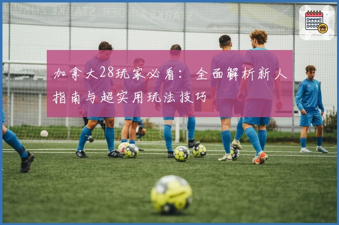 加拿大28玩家必看：全面解析新人指南与超实用玩法技巧