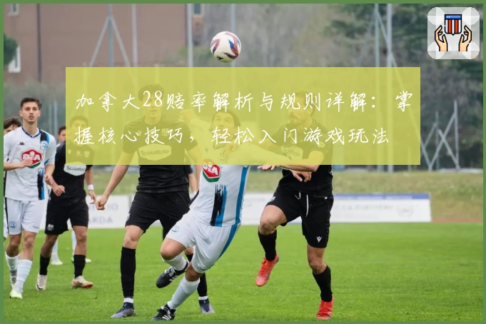 加拿大28赔率解析与规则详解：掌握核心技巧，轻松入门游戏玩法