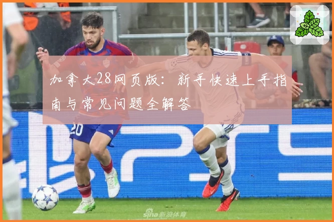 加拿大28网页版：新手快速上手指南与常见问题全解答