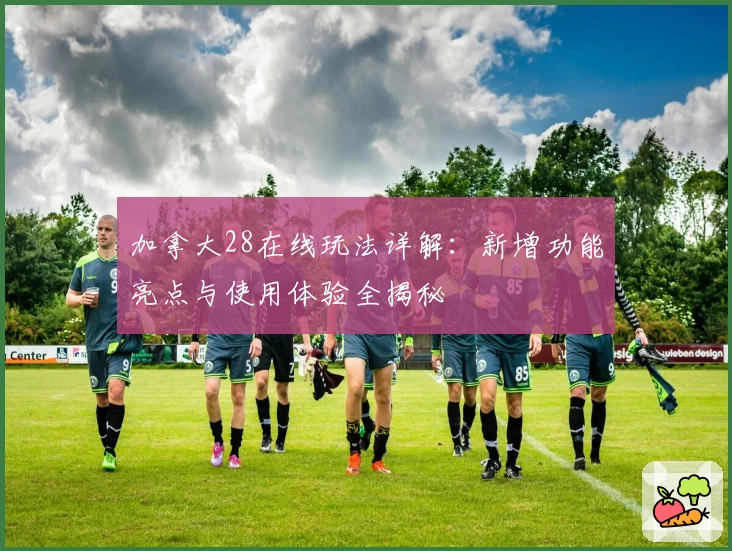 加拿大28在线玩法详解：新增功能亮点与使用体验全揭秘