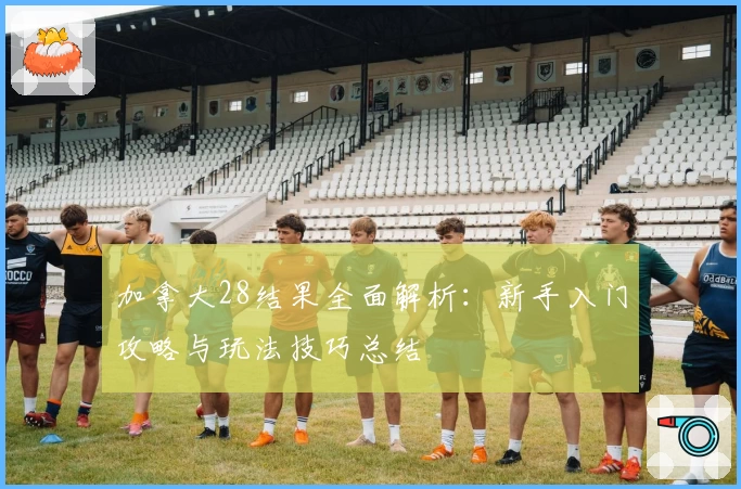 加拿大28结果全面解析：新手入门攻略与玩法技巧总结