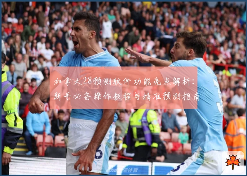 加拿大28预测软件功能亮点解析：新手必备操作教程与精准预测指南