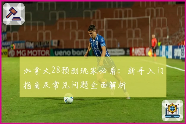 加拿大28预测玩家必看：新手入门指南及常见问题全面解析