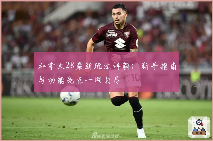 加拿大28最新玩法详解：新手指南与功能亮点一网打尽