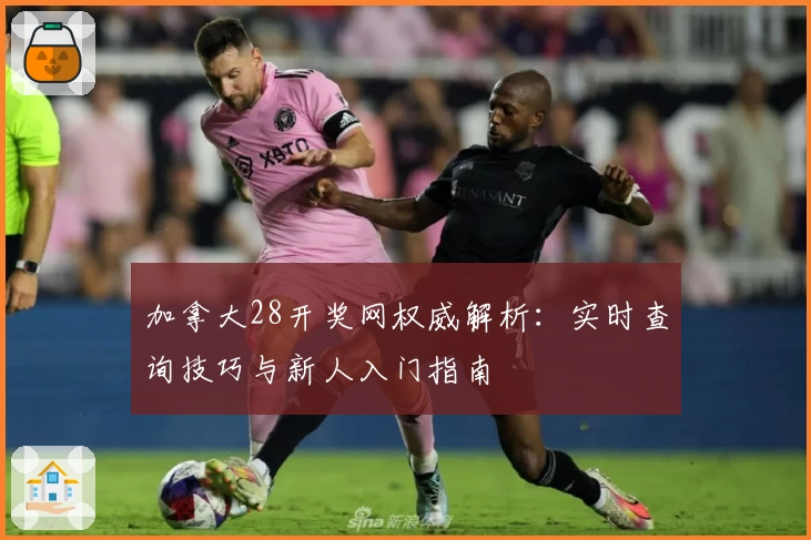 加拿大28开奖网权威解析：实时查询技巧与新人入门指南