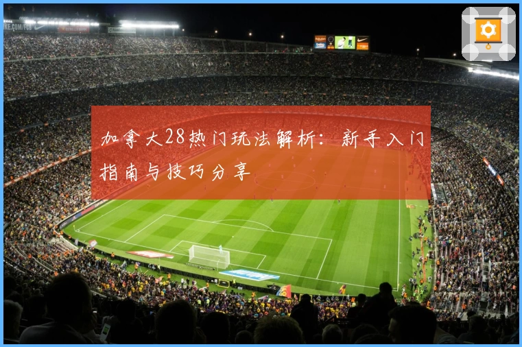 加拿大28热门玩法解析:新手入门指南与技巧分享