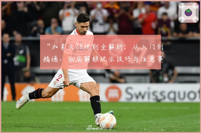 “加拿大28规则全解析:从入门到精通,彻底解锁玩法技巧与注意事项”