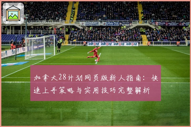 加拿大28计划网页版新人指南：快速上手策略与实用技巧完整解析