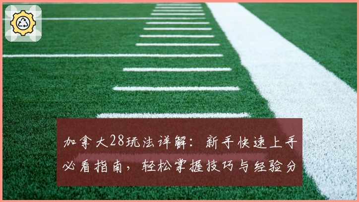 加拿大28玩法详解：新手快速上手必看指南，轻松掌握技巧与经验分享