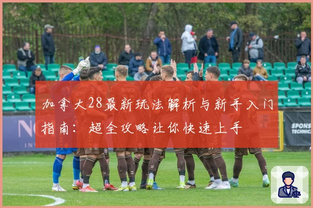 加拿大28最新玩法解析与新手入门指南：超全攻略让你快速上手