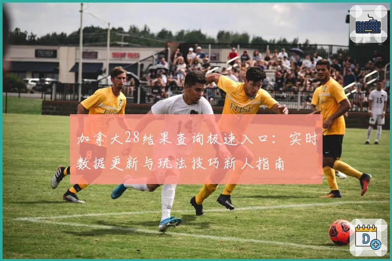 加拿大28结果查询极速入口：实时数据更新与玩法技巧新人指南
