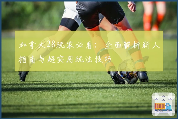 加拿大28玩家必看：全面解析新人指南与超实用玩法技巧